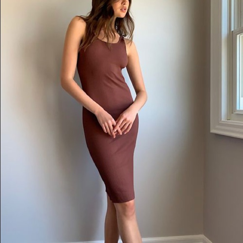 Aritzia Wilfred free Murdock dress